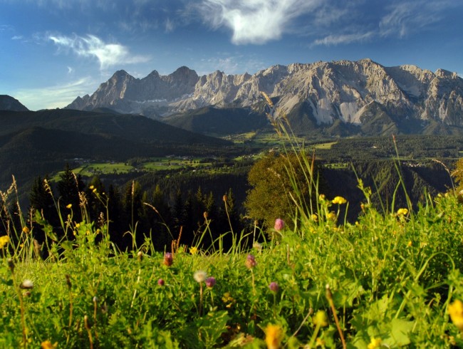 Almwiese mit Blick auf den Dachstein ©  Photo Austria_C_Höflehner