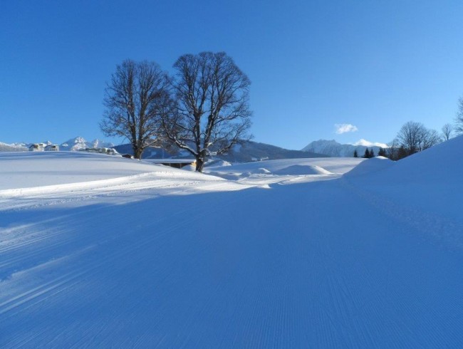 Winterlandschaft in Ramsau am Dachstein