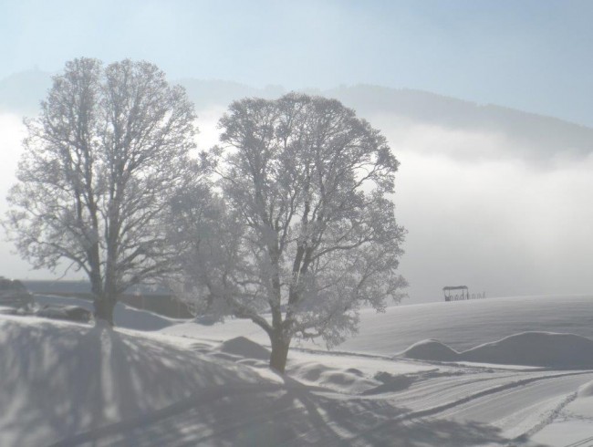 Nebel in Ramsau